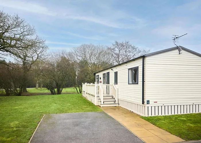 The Major Oak With Hot Tub